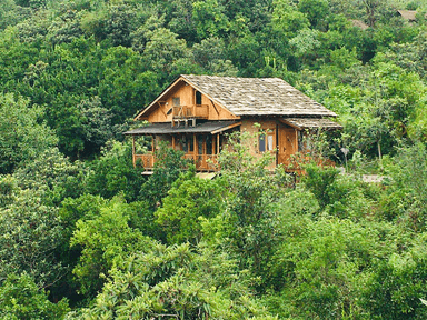 تصویر ویلای جنگلی